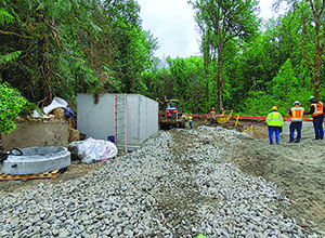 N Junction Pump Station and Trunk Sewer