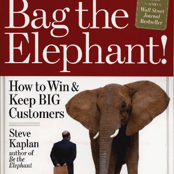 Bag the Elephant book cover