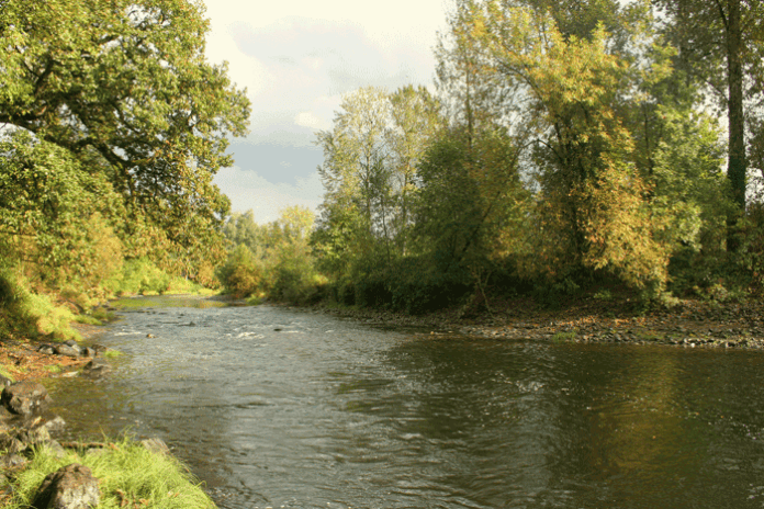 Washougal river