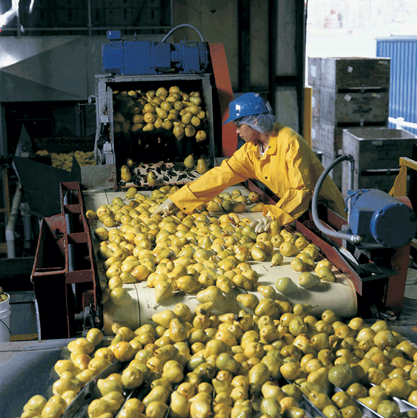 NW Packing NW Packing