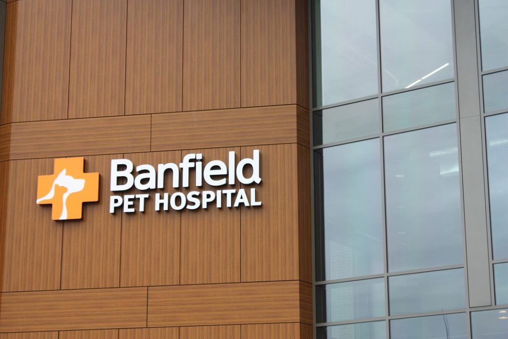 New Spaces: Inside Banfield Pet Hospital’s new headquarters - Vancouver