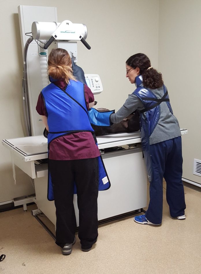 30,000 Banfield Foundation grant helps Humane Society get new