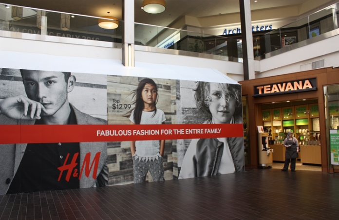 Top-News-VanMall Van Mall
