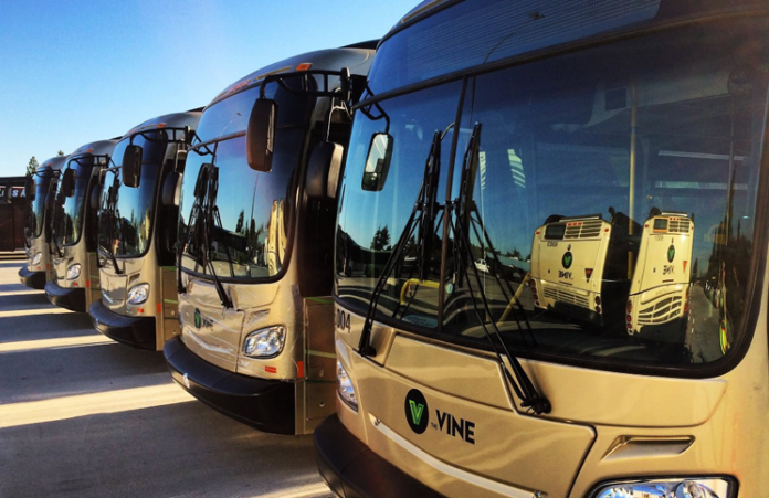 C-Tran Vine buses