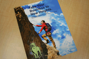 Business brochure