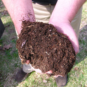 Composted dirt in hand