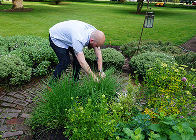 Picking fresh herbs