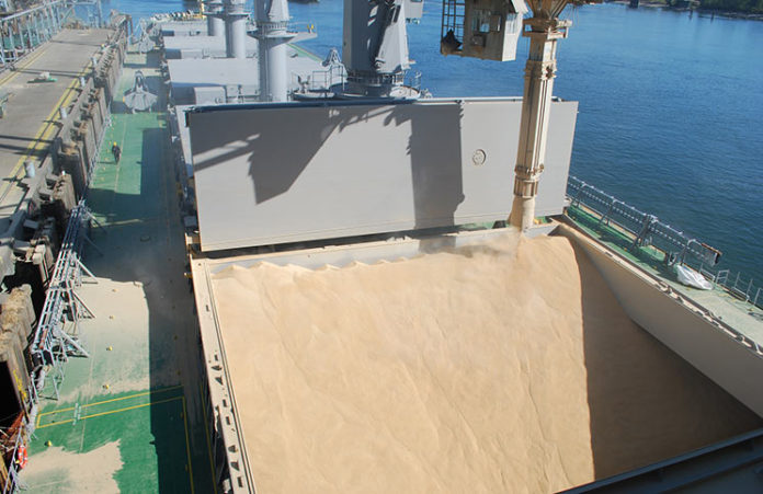 Grains at the Port of Vancouver