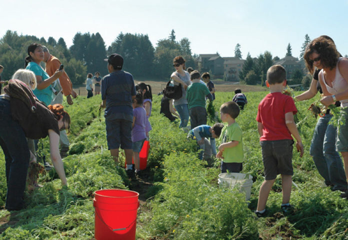 People harvesting crops