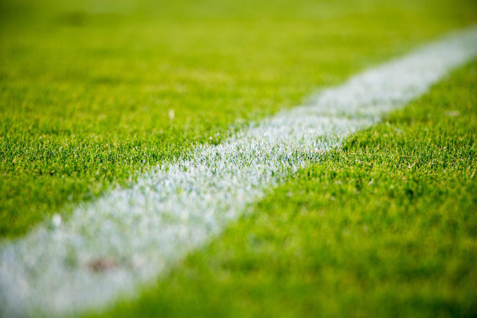LinedField Lined field
