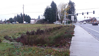 117th avenue development