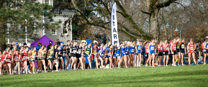 Runners at the starting line